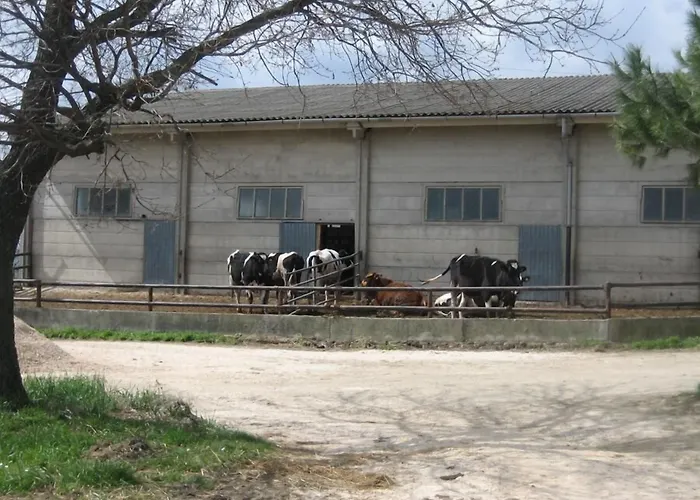 Agriturismo Casa Fibbianello Semproniano